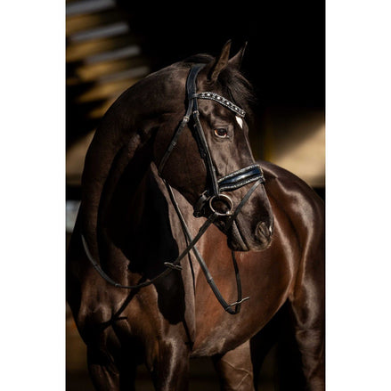 HB Showtime Black River Trenshoofdstel Trenshoofdstellen - Maddelin Equestrian HB