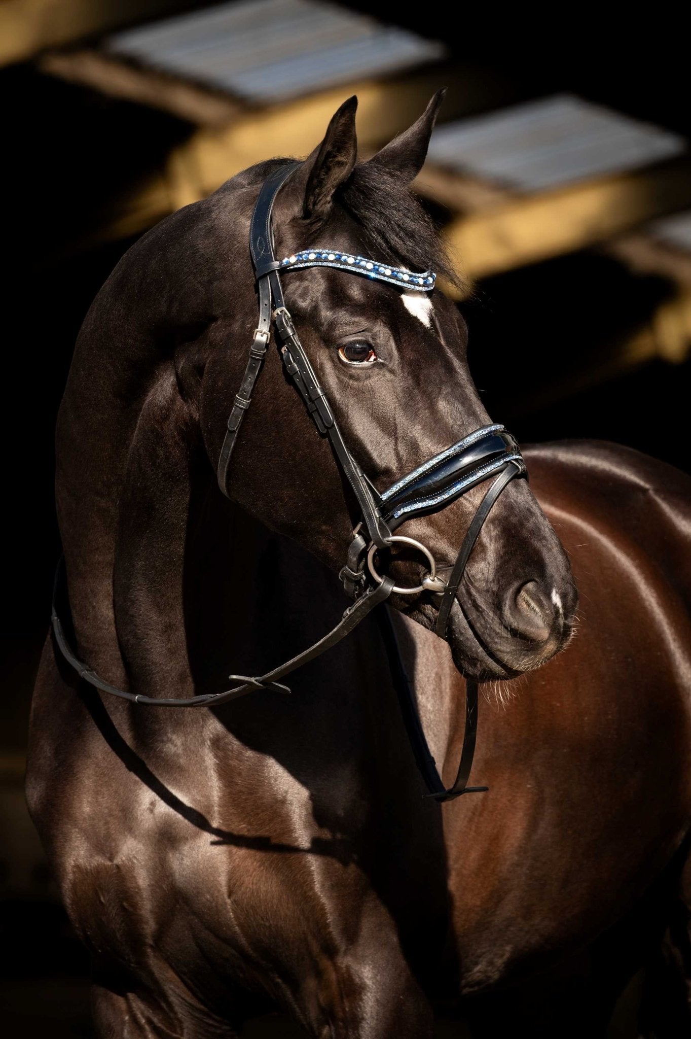 HB Showtime Blue Ocean Trenshoofdstel Trenshoofdstellen - Maddelin Equestrian HB