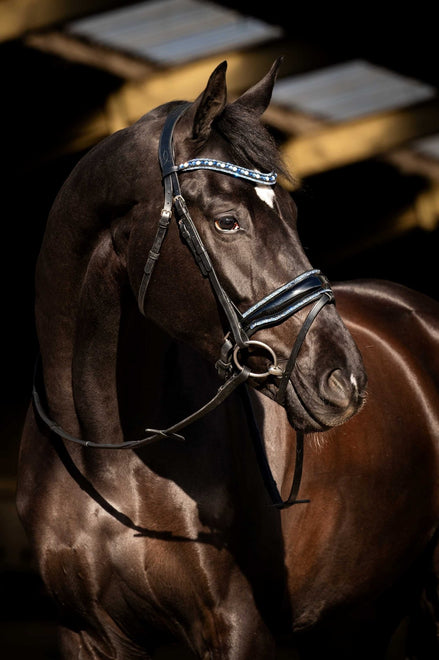 HB Showtime Blue Ocean Trenshoofdstel Trenshoofdstellen - Maddelin Equestrian HB