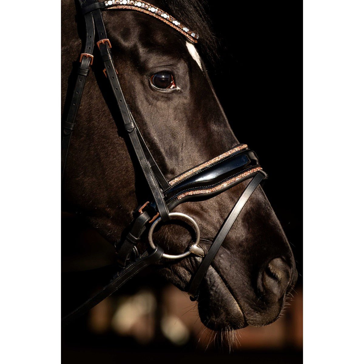 HB Showtime Copper Sky Trenshoofdstel Trenshoofdstellen - Maddelin Equestrian HB