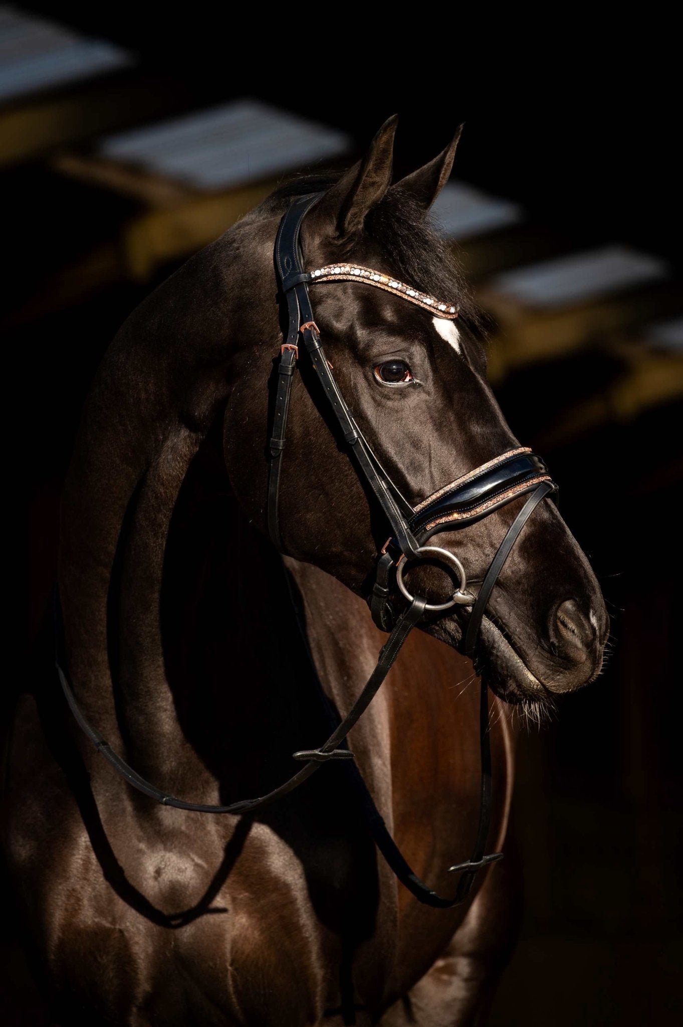 HB Showtime Copper Sky Trenshoofdstel Trenshoofdstellen - Maddelin Equestrian HB