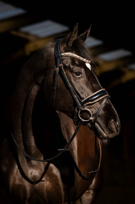 HB Showtime Copper Sky Trenshoofdstel Trenshoofdstellen - Maddelin Equestrian HB