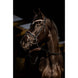 HB Showtime Copper Sky Trenshoofdstel Trenshoofdstellen - Maddelin Equestrian HB