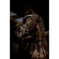 HB Showtime Copper Sky Trenshoofdstel Trenshoofdstellen - Maddelin Equestrian HB
