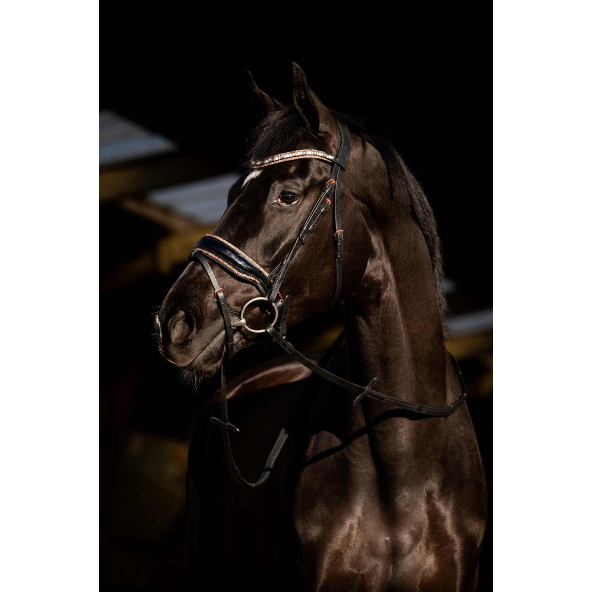 HB Showtime Copper Sky Trenshoofdstel Trenshoofdstellen - Maddelin Equestrian HB
