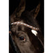 HB Showtime Copper Sky Trenshoofdstel Trenshoofdstellen - Maddelin Equestrian HB