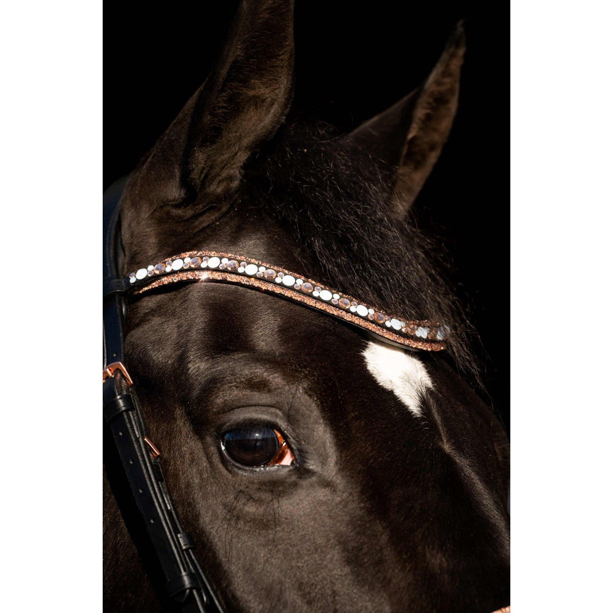 HB Showtime Copper Sky Trenshoofdstel Trenshoofdstellen - Maddelin Equestrian HB