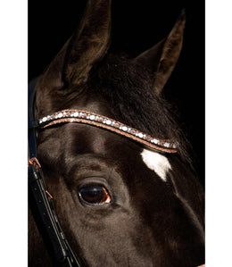 HB Showtime Copper Sky Trenshoofdstel Trenshoofdstellen - Maddelin Equestrian HB