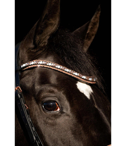 HB Showtime Copper Sky Trenshoofdstel Trenshoofdstellen - Maddelin Equestrian HB