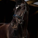 HB Showtime Dark Eagle Trenshoofdstel Trenshoofdstellen - Maddelin Equestrian HB