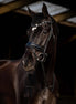 HB Showtime Dark Eagle Trenshoofdstel Trenshoofdstellen - Maddelin Equestrian HB