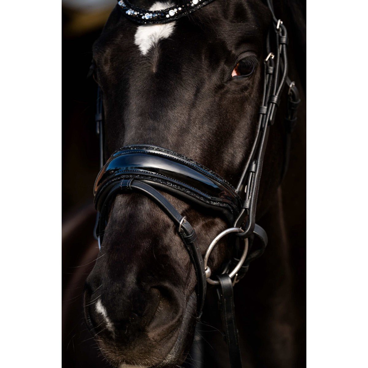 HB Showtime Dark Eagle Trenshoofdstel Trenshoofdstellen - Maddelin Equestrian HB