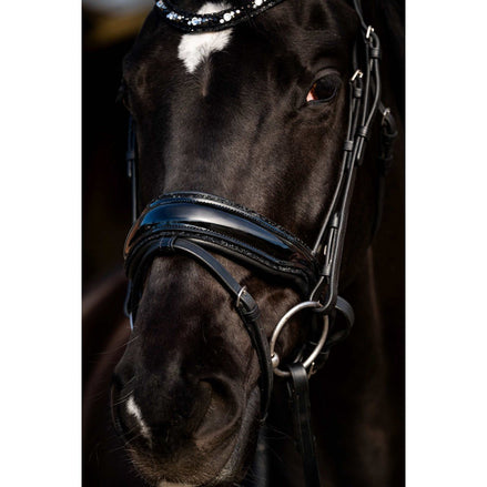 HB Showtime Dark Eagle Trenshoofdstel Trenshoofdstellen - Maddelin Equestrian HB