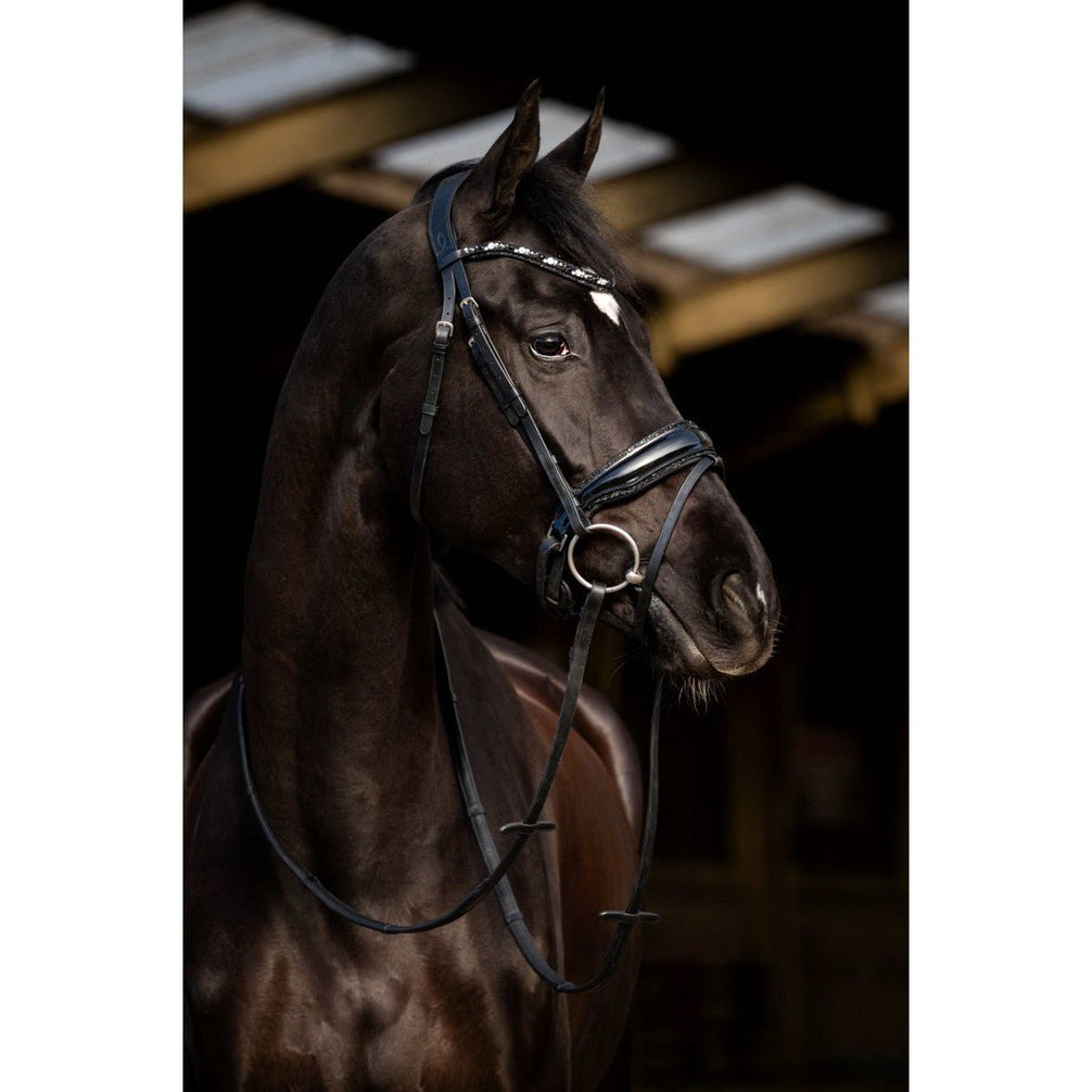 HB Showtime Dark Eagle Trenshoofdstel Trenshoofdstellen - Maddelin Equestrian HB