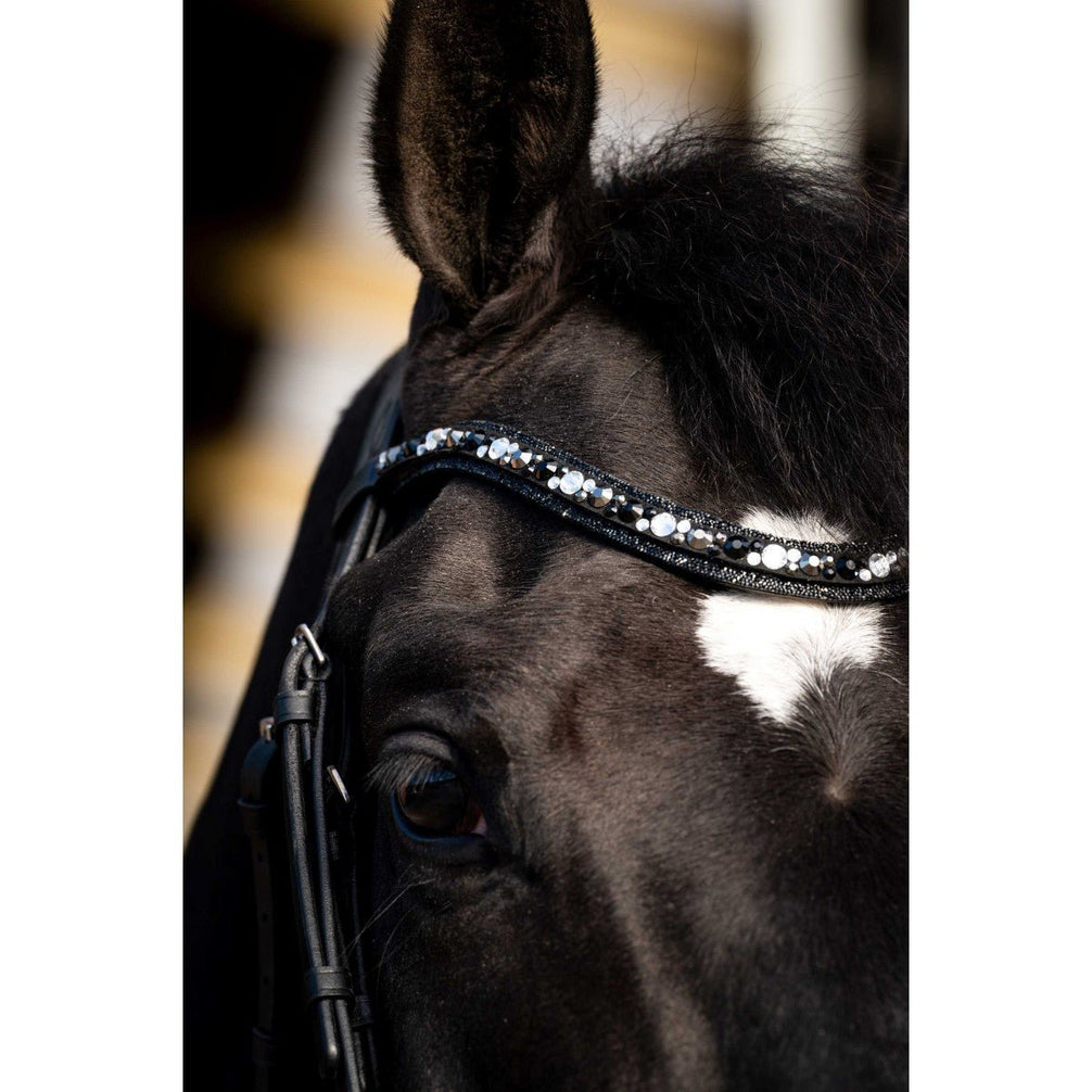 HB Showtime Dark Eagle Trenshoofdstel Trenshoofdstellen - Maddelin Equestrian HB