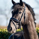 HB Showtime Evalira Hoofdstel Trenshoofdstellen - Maddelin Equestrian HB