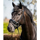HB Showtime Evalira Hoofdstel Trenshoofdstellen - Maddelin Equestrian HB