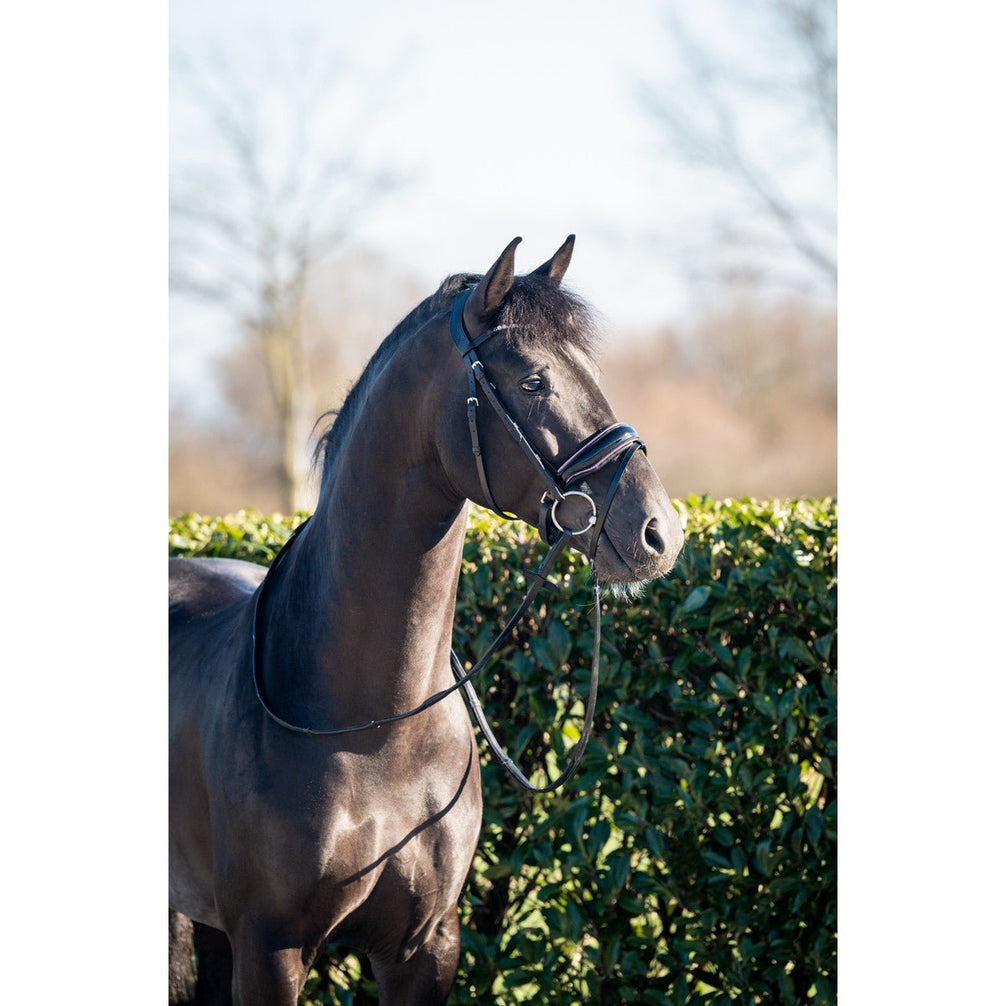 HB Showtime Evalira Hoofdstel Trenshoofdstellen - Maddelin Equestrian HB