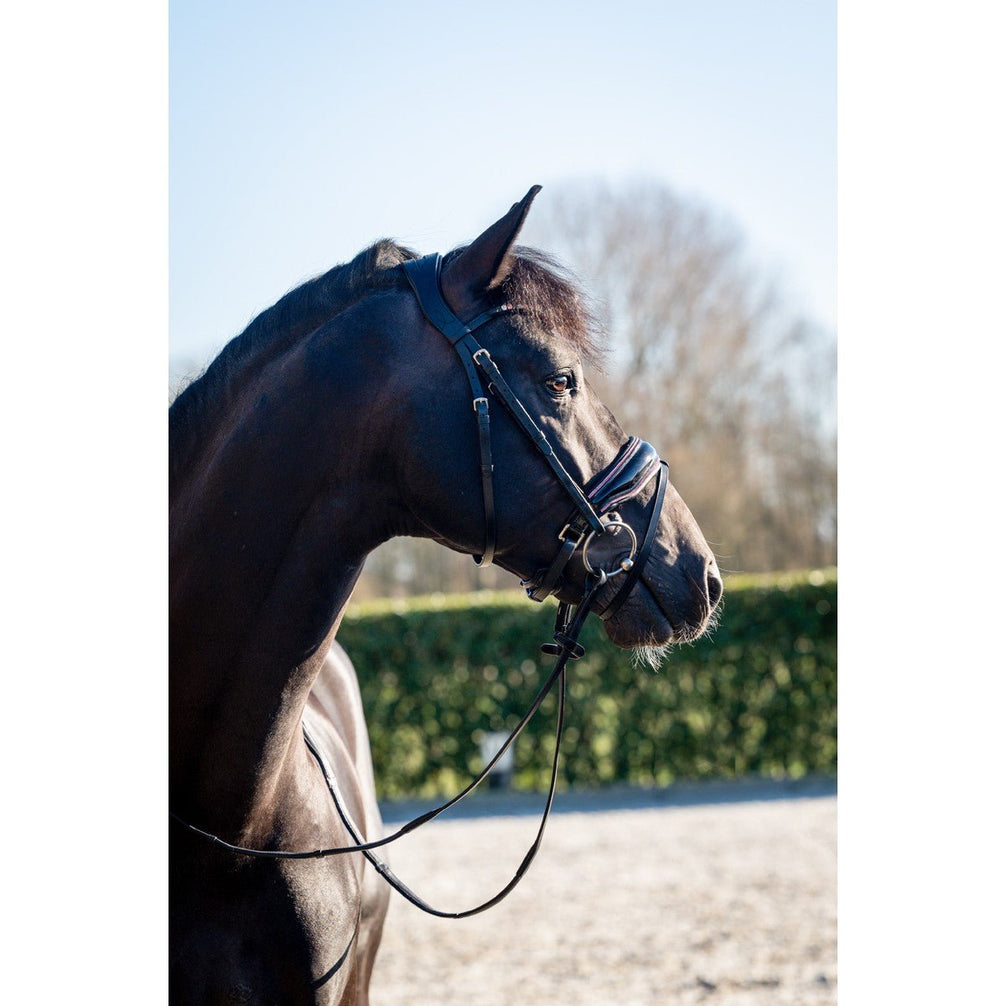 HB Showtime Evalira Hoofdstel Trenshoofdstellen - Maddelin Equestrian HB
