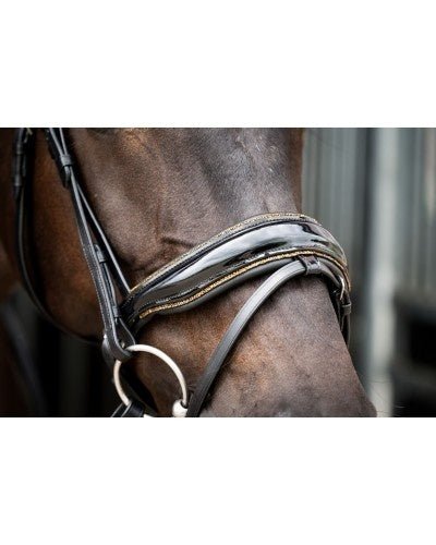 HB Showtime Golden Dreams Trenshoofdstellen - Maddelin Equestrian HB