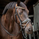 HB Showtime Golden Dreams Trenshoofdstellen - Maddelin Equestrian HB