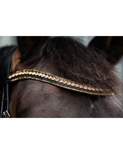 HB Showtime Golden Dreams Trenshoofdstellen - Maddelin Equestrian HB