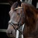 HB Showtime Golden Dreams Trenshoofdstellen - Maddelin Equestrian HB