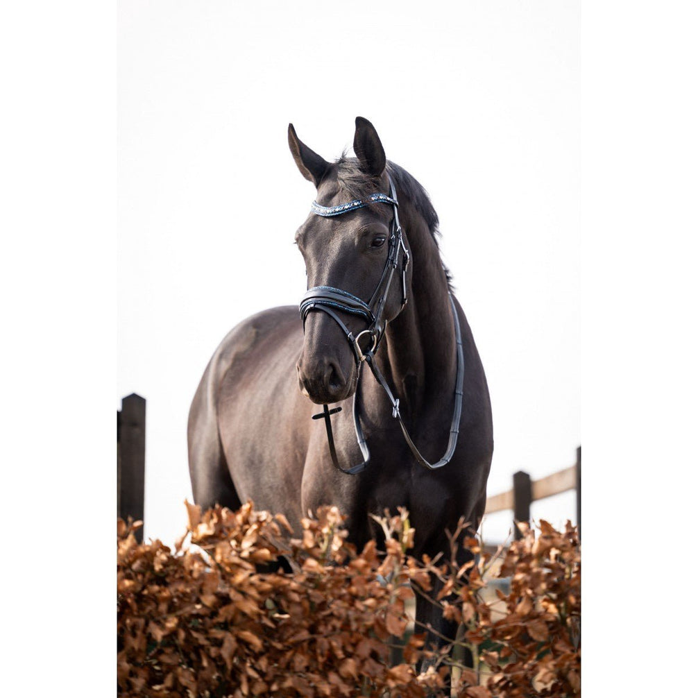 HB Showtime It Is So Special Trenshoofdstel Trenshoofdstellen - Maddelin Equestrian HB