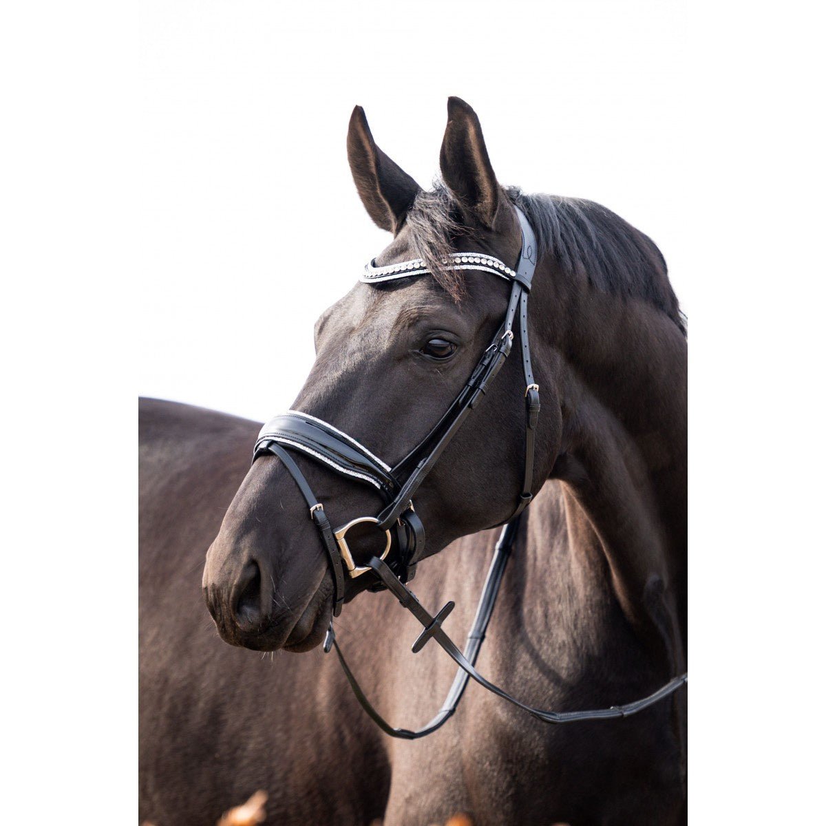 HB Showtime It Is So Special Trenshoofdstel Trenshoofdstellen - Maddelin Equestrian HB