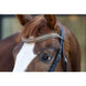 HB Showtime It Is So Special Trenshoofdstel Trenshoofdstellen - Maddelin Equestrian HB