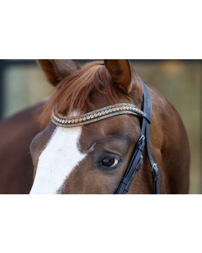 HB Showtime It Is So Special Trenshoofdstel Trenshoofdstellen - Maddelin Equestrian HB