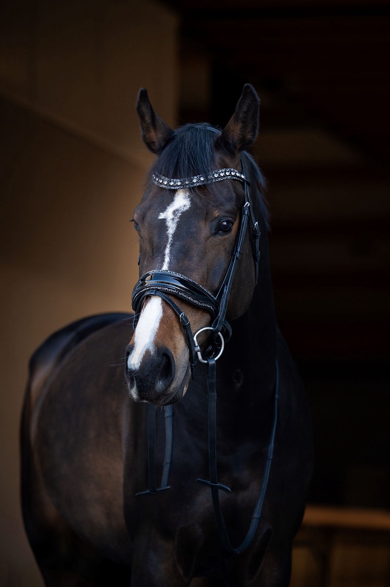 HB Showtime It Is So Special Trenshoofdstel Trenshoofdstellen - Maddelin Equestrian HB