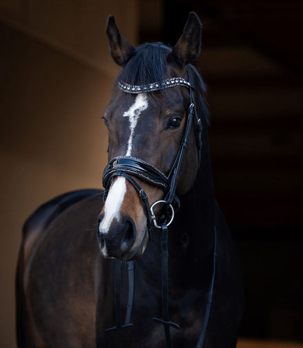 HB Showtime It Is So Special Trenshoofdstel Trenshoofdstellen - Maddelin Equestrian HB