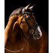 HB Showtime Jump Rocky Glitter Trenshoofdstel Trenshoofdstellen - Maddelin Equestrian HB