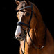HB Showtime Jump Rocky Glitter Trenshoofdstel Trenshoofdstellen - Maddelin Equestrian