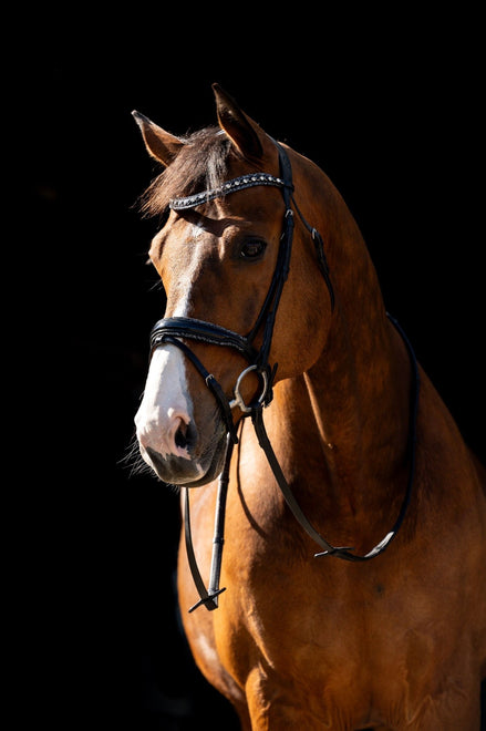 HB Showtime Jump Rocky Glitter Trenshoofdstel Trenshoofdstellen - Maddelin Equestrian