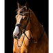 HB Showtime Jump Rocky Glitter Trenshoofdstel Trenshoofdstellen - Maddelin Equestrian HB