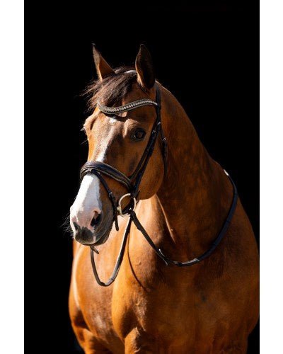 HB Showtime Jump Rocky Glitter Trenshoofdstel Trenshoofdstellen - Maddelin Equestrian HB