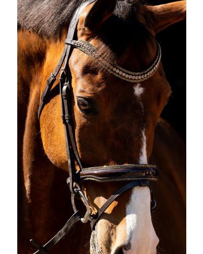 HB Showtime Jump Rocky Glitter Trenshoofdstel Trenshoofdstellen - Maddelin Equestrian HB