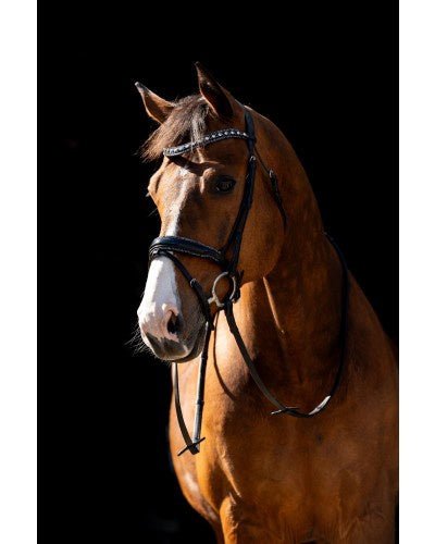 HB Showtime Jump Rocky Glitter Trenshoofdstel Trenshoofdstellen - Maddelin Equestrian HB
