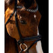 HB Showtime Jump Rocky Glitter Trenshoofdstel Trenshoofdstellen - Maddelin Equestrian HB
