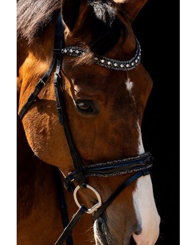 HB Showtime Jump Rocky Glitter Trenshoofdstel Trenshoofdstellen - Maddelin Equestrian HB