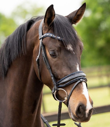 HB Showtime Las Vegas Trenshoofdstel Trenshoofdstellen - Maddelin Equestrian HB