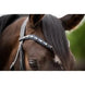 HB Showtime Las Vegas Trenshoofdstel Trenshoofdstellen - Maddelin Equestrian HB