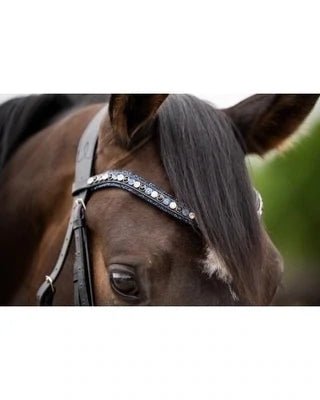HB Showtime Las Vegas Trenshoofdstel Trenshoofdstellen - Maddelin Equestrian HB