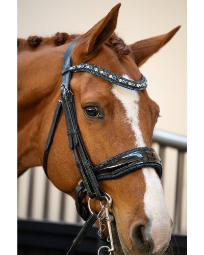HB Showtime One in a Million Stang & Trens - Maddelin Equestrian HB