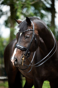 HB Showtime Special for You Stang & Trens - Maddelin Equestrian HB