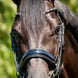 HB Showtime Special for You Stang & Trens - Maddelin Equestrian HB
