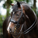HB Showtime Special for You Stang & Trens - Maddelin Equestrian HB