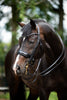 HB Showtime Special for You Stang & Trens - Maddelin Equestrian HB